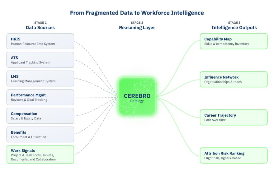 From fragmented HR data to workforce intelligence through the Cerebro ontology