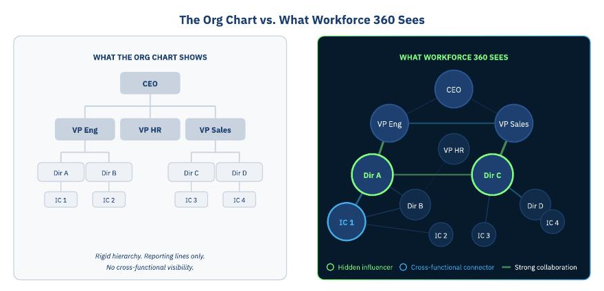 The org chart compared with the influence and collaboration network Workforce 360 sees